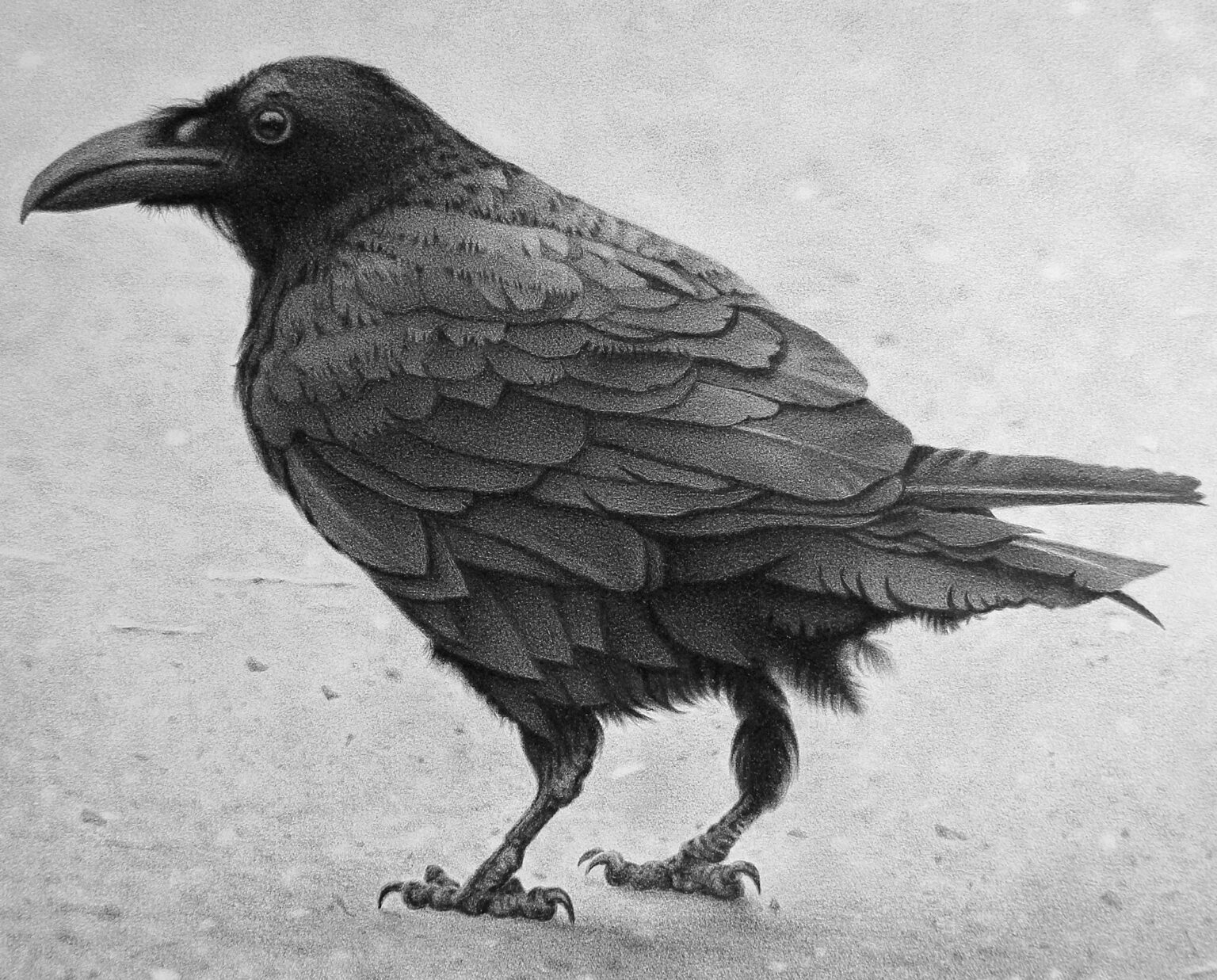 Mark Vallen - The Messenger